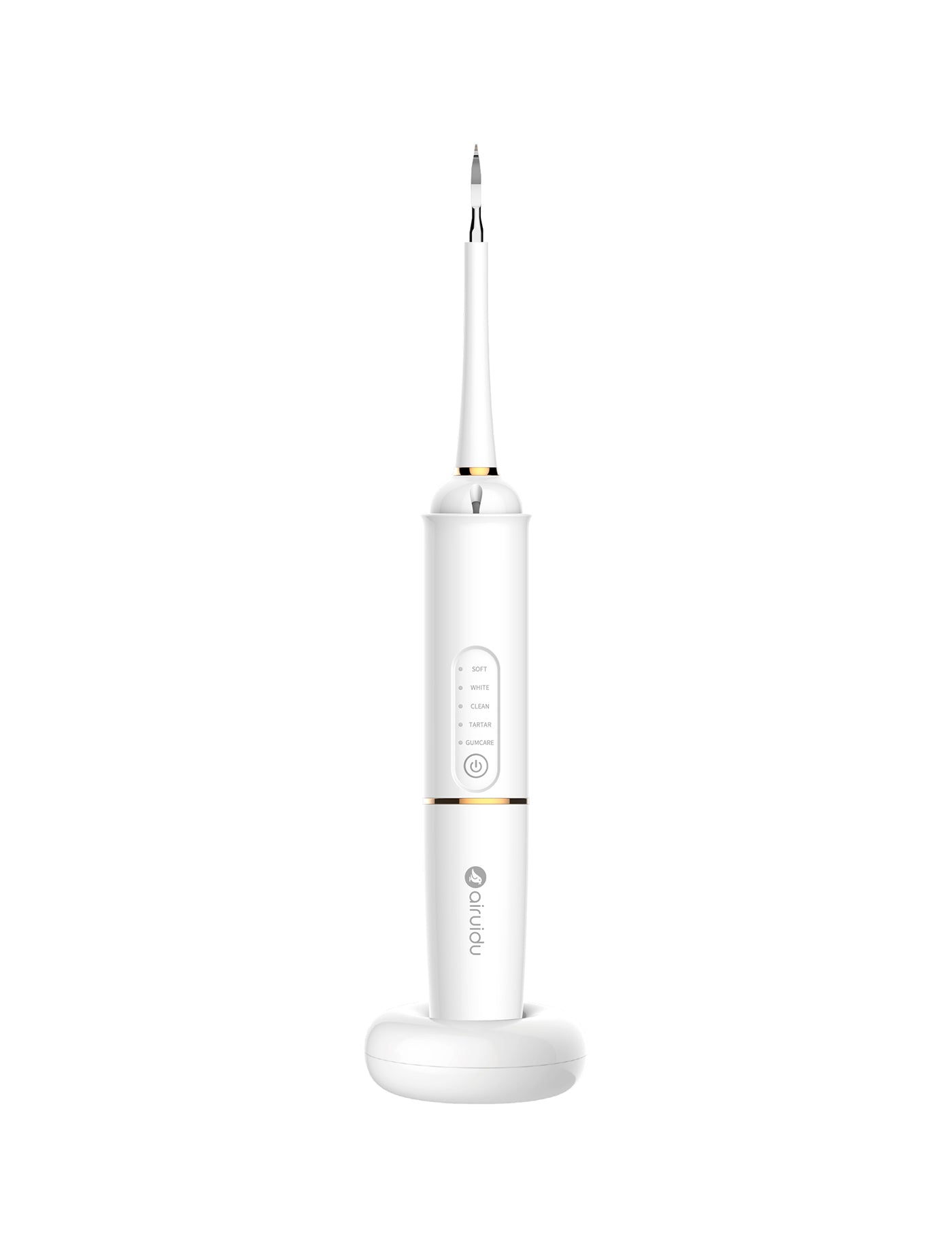 Airuidu M09 Dental Flosser