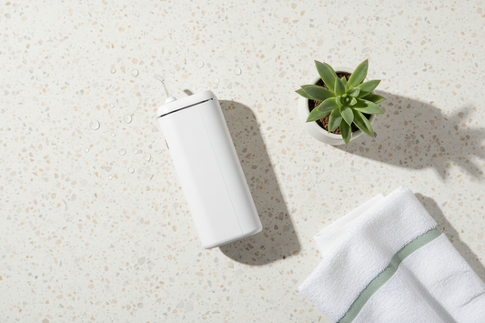White water flosser, succulent, and towel on terrazzo — how to choose the right water flosser for your needs