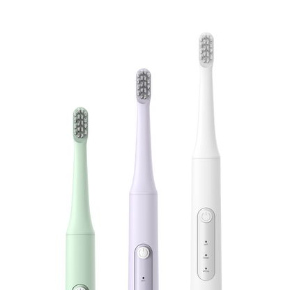 DYS01 Oscillation & Vibration Sonic Toothbrush