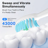 DYS05 Oscillation & Vibration Sonic Toothbrush