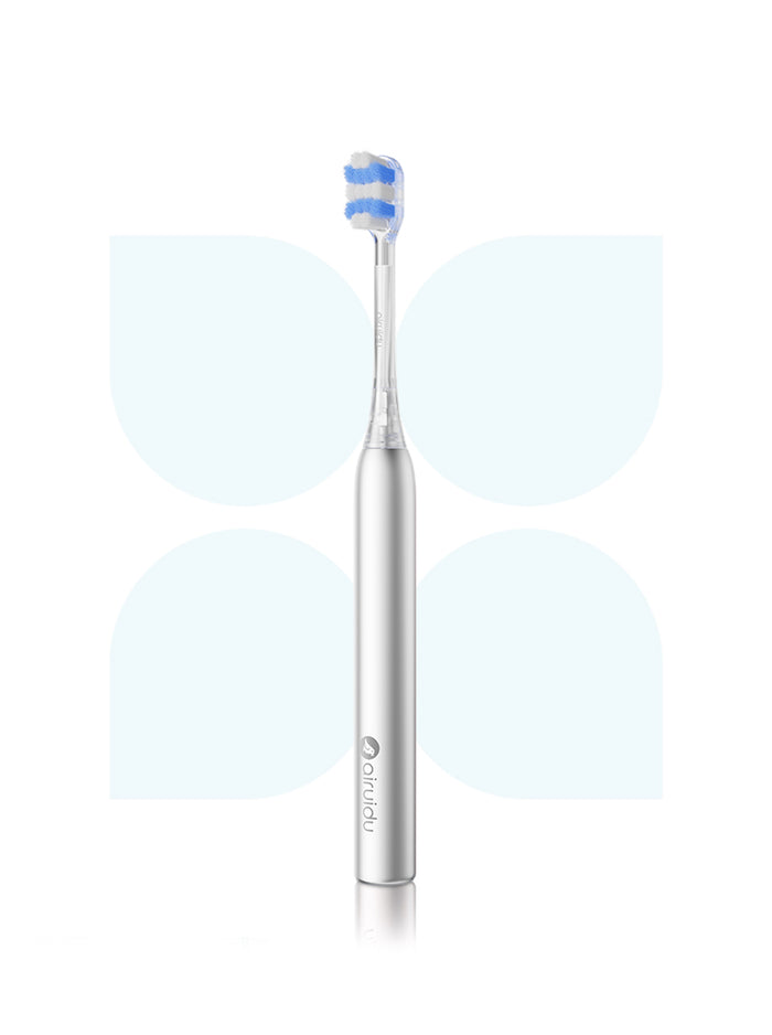 Manual Toothbrush Arte10