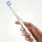 Manual Toothbrush Arte10