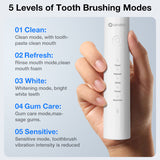 DYS05 Oscillation & Vibration Sonic Toothbrush