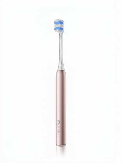 Manual Toothbrush Arte10