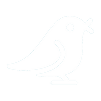 Airuidu | Official Site