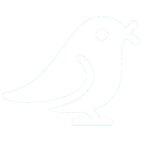 Airuidu | Official Site